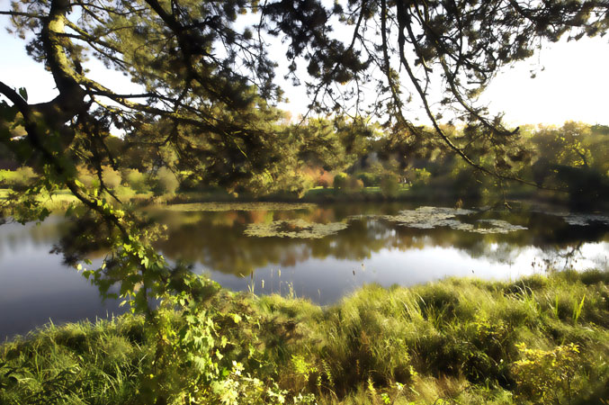 Botanischer Garten Dahlem 