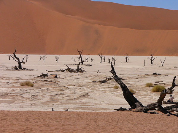 Namib