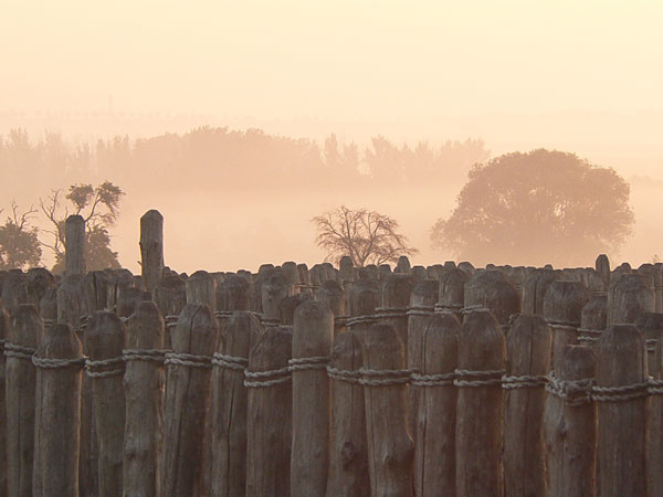 Morgennebel