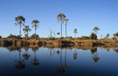 Chiefs Island Botswana