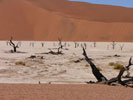 Namib